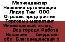 Мерчендайзер › Название организации ­ Лидер Тим, ООО › Отрасль предприятия ­ Торговый маркетинг › Минимальный оклад ­ 23 000 - Все города Работа » Вакансии   . Амурская обл.,Благовещенский р-н